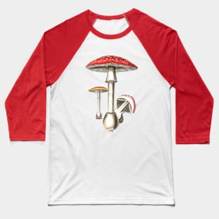 Amanita Muscaria Mushroom Botany Illustration Baseball T-Shirt